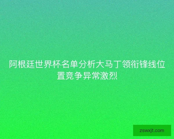 阿根廷世界杯名单分析大马丁领衔锋线位置竞争异常激烈